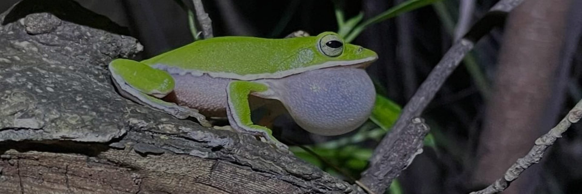 messageImage_1728636258402_0